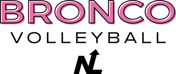 | Shop Next Level Volleyball x WMU